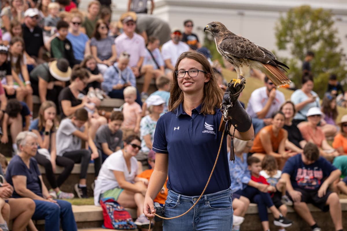 Red-tailed hawk presentation in front of audience